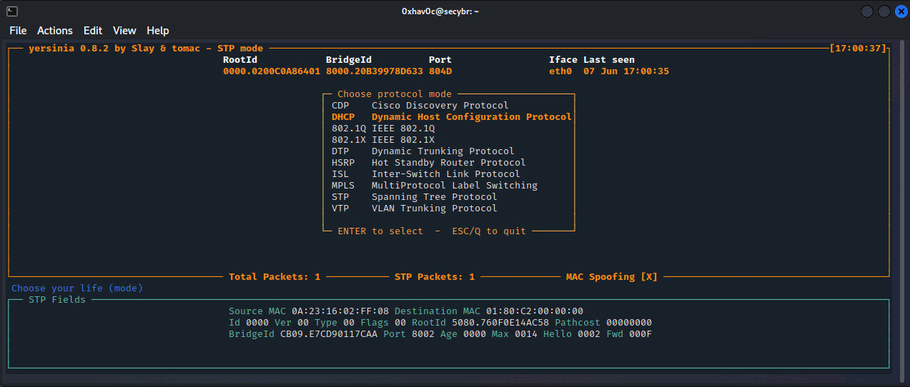 Dhcp Pentesting Best Practices Secybr Penetration Testing Red Teaming And Hack Tricks